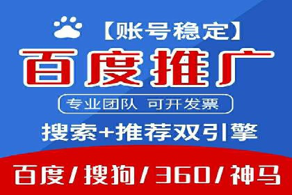 网络推广与竞价策略实战案例